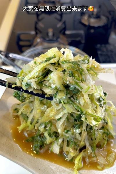 レタスの洗い方のコツ！鮮度を戻してシャキシャキの食感がよみがえる50度洗いの方法まで！ – シュフーズ