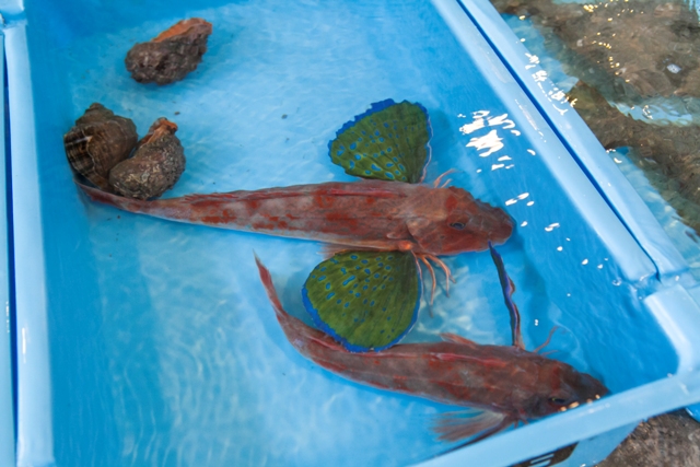 アートフォト」のアイデア 17 件アートフォト, 風景, 風景写真