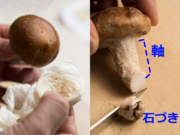舞茸 まいたけ の石づきはどこで切るのが正解？意外な真実が！元スーパーの店員が解説ぱるとよ 食材ブログ