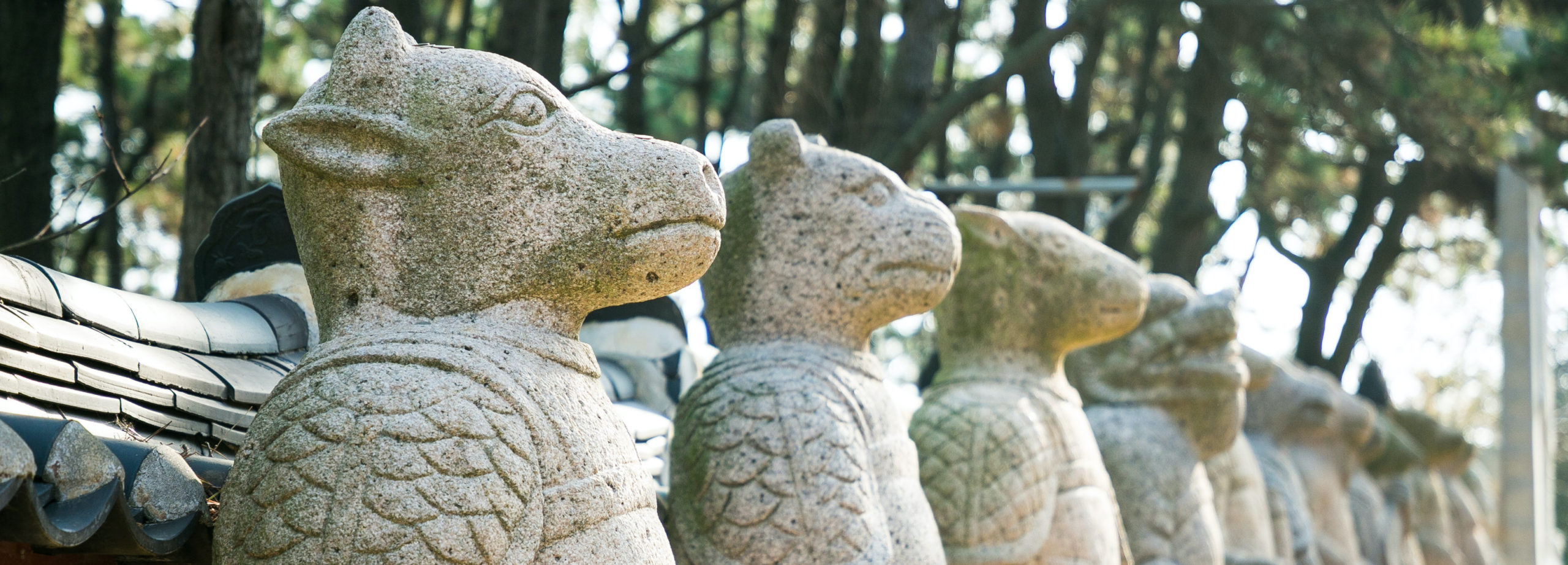 釜山海東龍宮寺と食べたかった 映えるラーメン。『韓国釜山の生活』