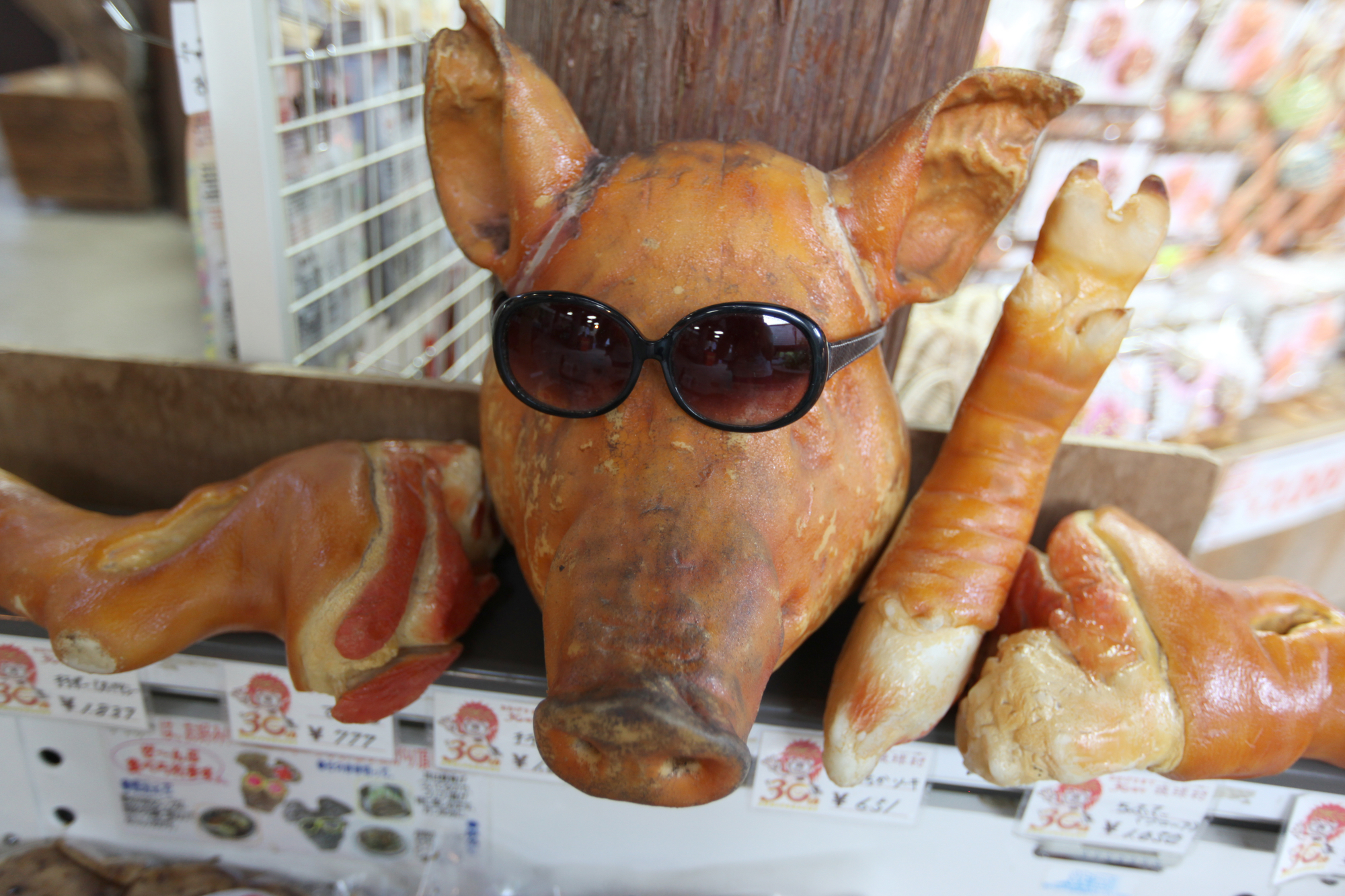 12,300点を超える豚の顔のイラスト素材、ロイヤリティフリーのベクター素材グラフィックスとクリップアート - iStock