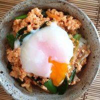 ニラと鶏そぼろのピリ辛スタミナ丼