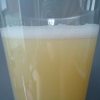 Qoo10オーガニック紅糖大根ジュース 原液ジュ