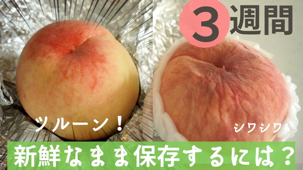 美味しい桃の上手な保存方法とは味の農園