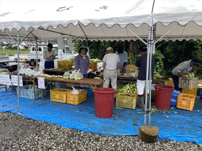 トウモロコシを網と糸で守る - 畑・畑・畑