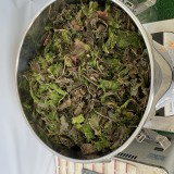 爽やか〜✧赤紫蘇ジュース♡保存方法♡残り葉で『ゆかり』を作る準備♡