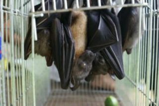 閲覧注意 世界一見た目が強烈なスープ!?てどんなの？世界さまぁ～リゾートTBSテレビ