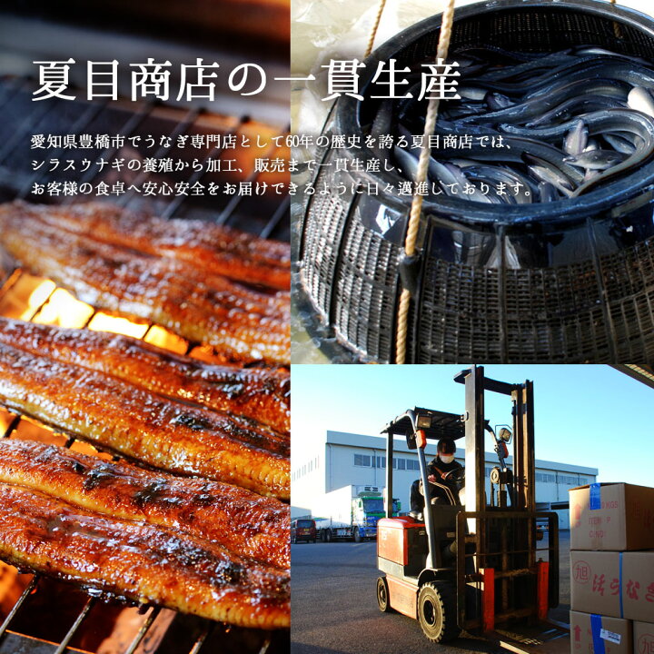 楽天市場 上里そだちの「侍うなぎ」活きたうなぎ 活鰻 チルド品 １ｋｇ＝4尾うなぎ 鰻 ウナギ 活鰻 チルド 国産 埼玉県産 ギフト 贈答 お祝いお取り寄せ 土用丑の日 丑の日 敬老の日 お中元 お歳暮 人気 グルメ 内祝い プレゼント グルメ ご褒美 誕生日 侍 SAMURAI