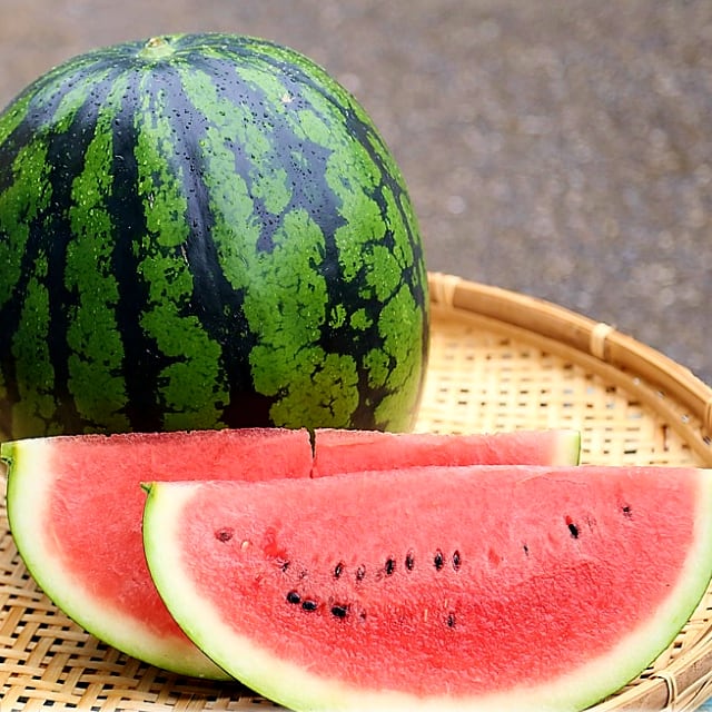 びおロジ 千葉県産 大玉種無しスイカ≪ほおばれ≫G-Callショッピング