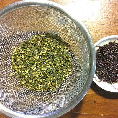 生の山椒の実の処理方法と醤油漬け・粉山椒の作り方 - 田舎暮らしと子育てブログ