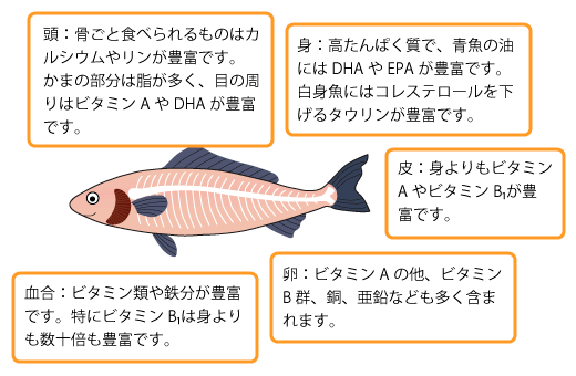 低たんぱくな魚料理は？赤身魚・白身魚・青魚のおすすめレシピ紹介！ - 介護食・腎臓病食 低たんぱく食品 のお役立ち情報