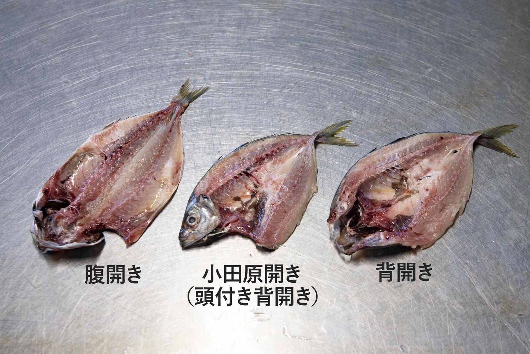 鯖 さば のさばき方 - How to filet Mackerel -日本さばけるプロジェクト 海と日本プロジェクト