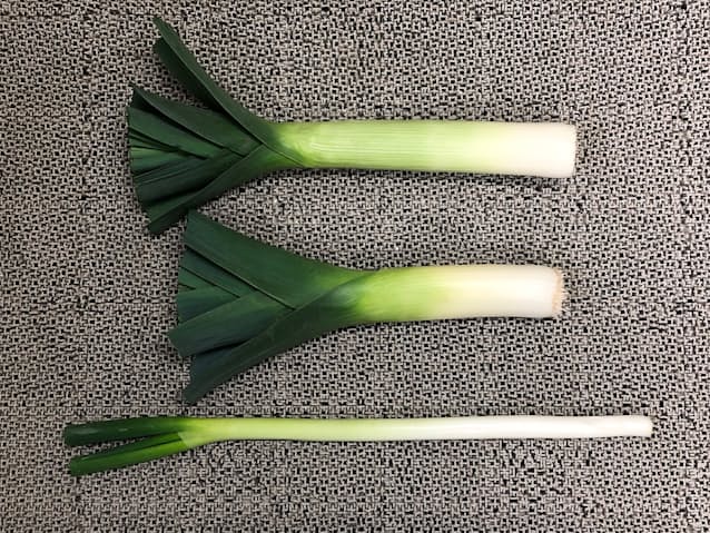 深谷でネギの新ブランド 太くてとろける「リーキ」 - 日本経済新聞