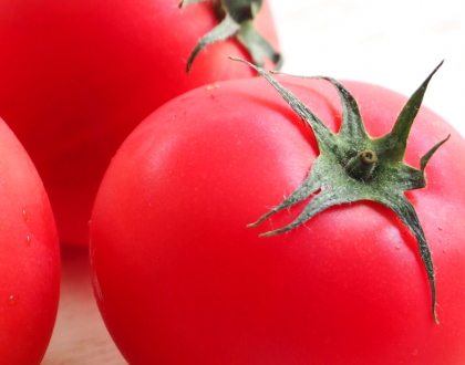 2017年8月のラッキーフード『わらび餅』 – Hi Know! ひのぅ 日野市 まちにくわわるポータルサイト