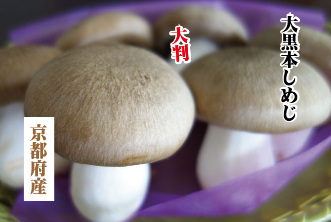 しめじ シメジ ブナシメジ 本しめじ
