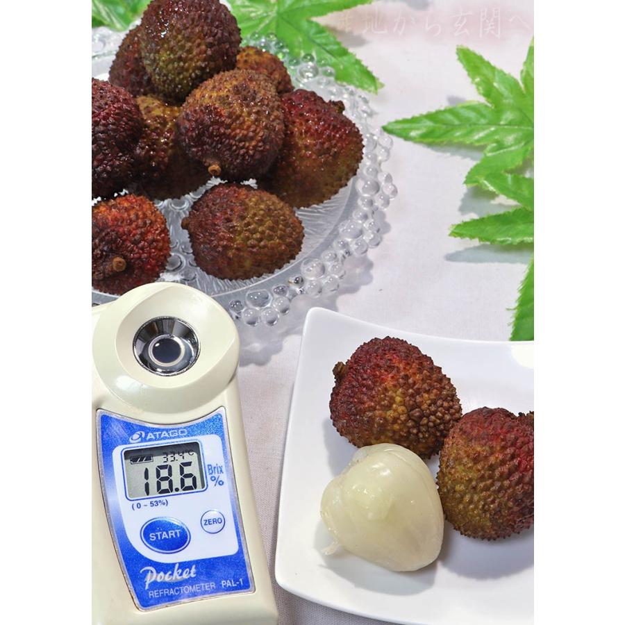 実りの季節は、瑞々しい『果物』から秋支度を始めましょう。キナリノ