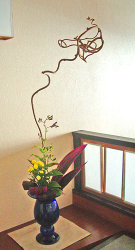 キウイの花 花言葉があって、生命力とか豊か、何だそうですね？キウイフルーツ キウイ 花 花言葉