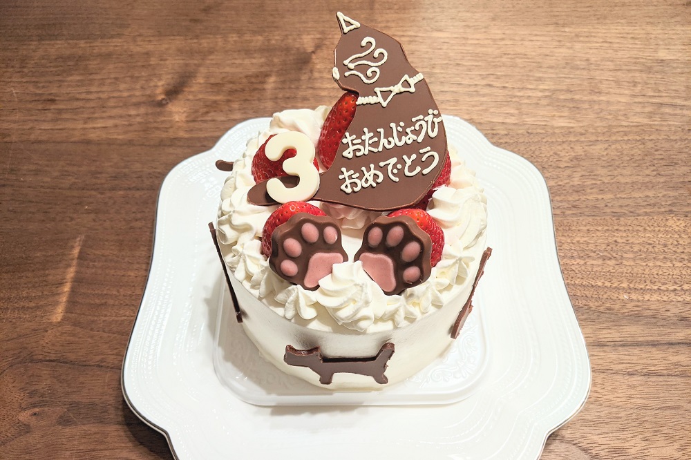 カワイイ猫がモチーフのケーキ屋さん 静岡県の情報サイト we love 静岡