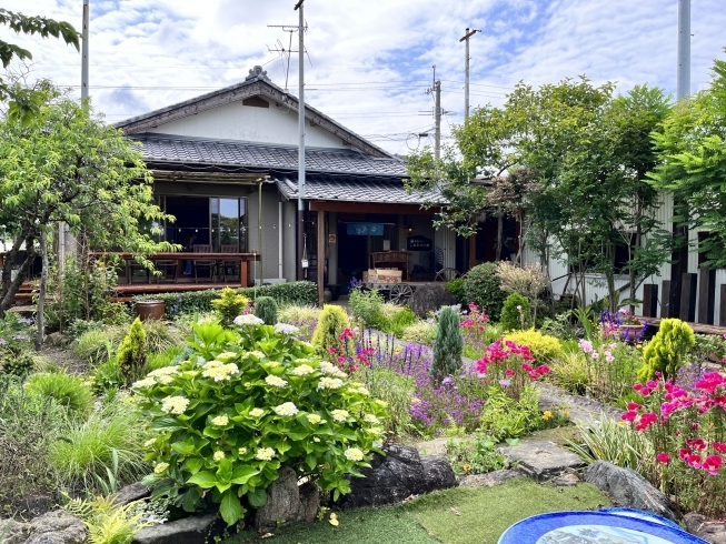 新メニュー登場！ 気軽に楽しむカジュアルランチセットのご紹介スペシャルメニュー☆大宮璃宮 四季庭 公式大宮の四季折々の庭園を望むフレンチレストラン＆カフェ