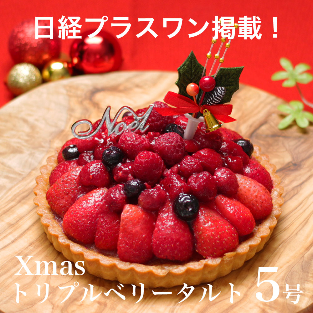クリスマスフルーツタルトケーキ5号 15cm「タルト・ドゥ・ノエル・オ・フリュイ」 – ア・ラ・カンパーニュグラモウディーズの通販サイト