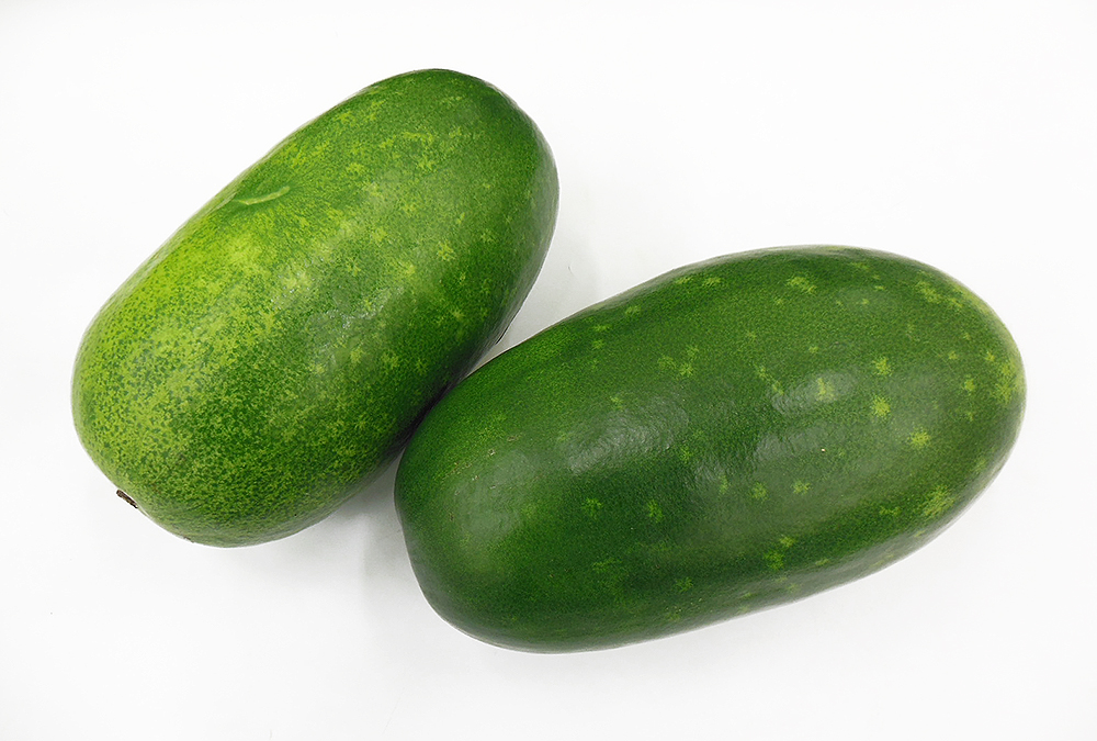 冬瓜 とうがん の育て方・栽培方法LOVEGREEN ラブグリーン