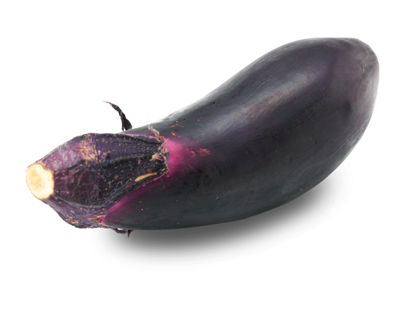 ナスの種 真黒茄子固定種- 種の専門店松尾農園オンラインショップ