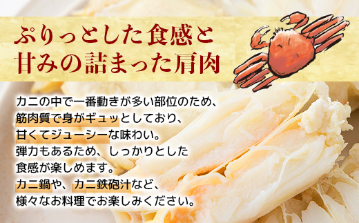 量が選べる！本ズワイガニ 肩肉 1kg 1000gカニ用フォーク付き！ 年末年始 お歳暮 正月 ギフト 2025マイナビふるさと納税