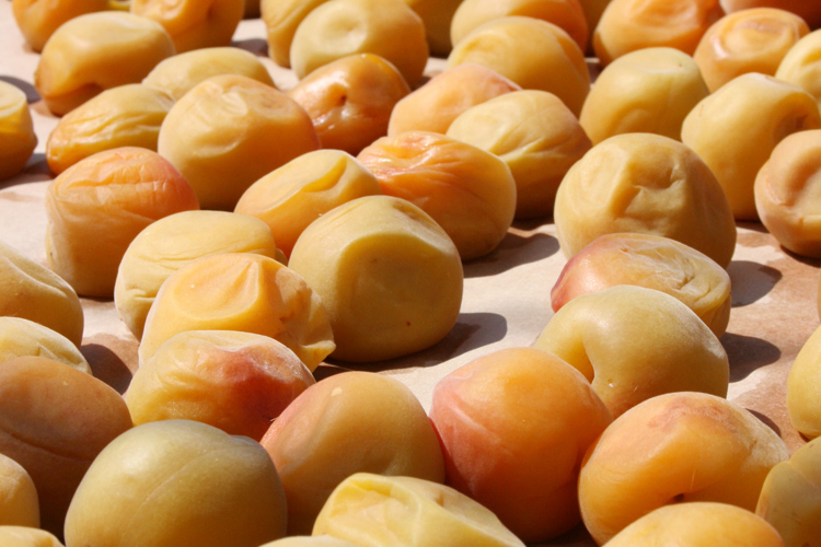 2018年梅干し、名古屋猛暑の中3日3晩の天日干し。 - てのしごと～ながくて風土～