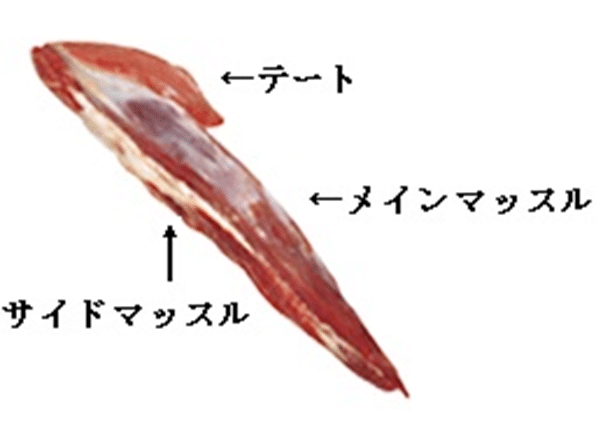 牛肉3D部位解説：ヒレ公式 北海道十勝 トヨニシファーム