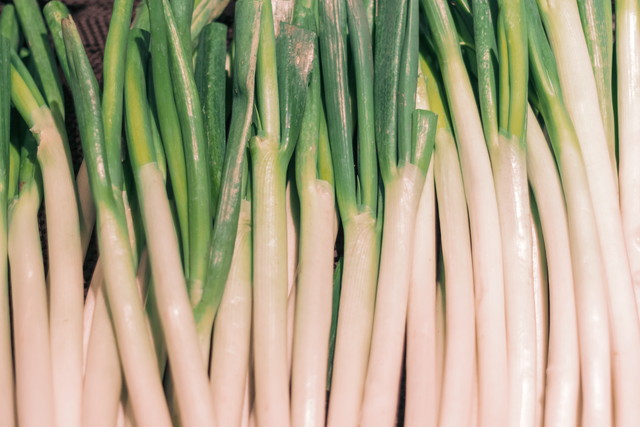 ネギの種類について解説！それぞれの特徴やレシピもご紹介デリッシュキッチン