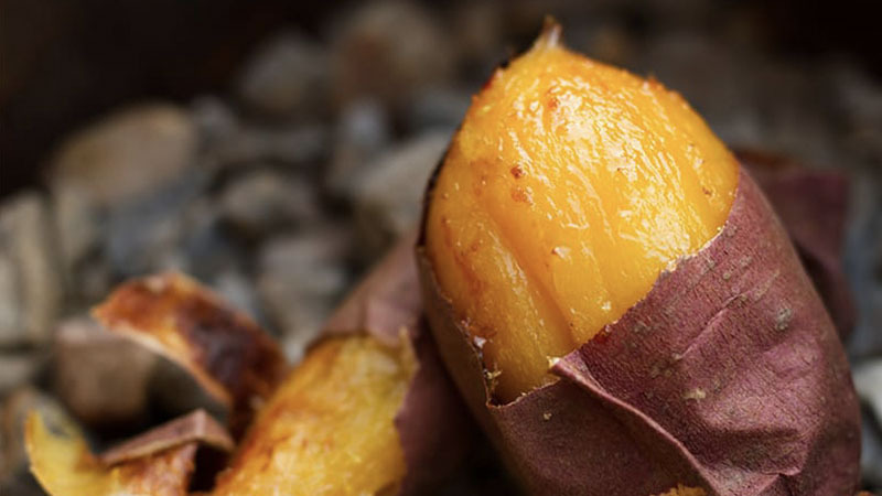 サツマイモの収穫ばさわファームブログ