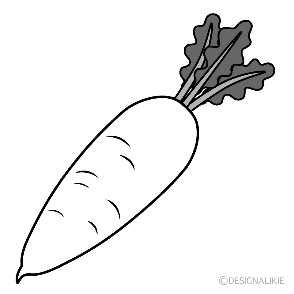 大根 だいこん・ダイコン・ラディッシュ・radish 無料画像 – ベジタデジタ