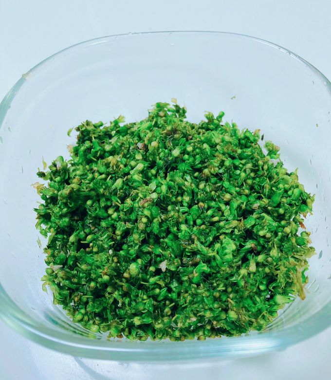 紫蘇の実を塩漬けにして、常備采として作り置きof nou