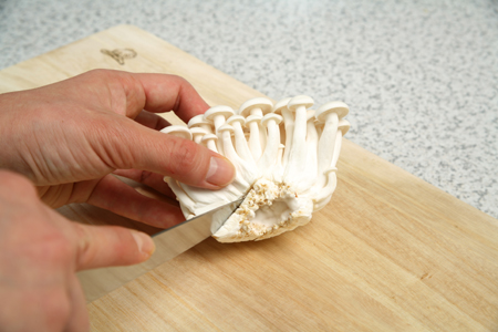 舞茸 まいたけ の石づきはどこで切るのが正解？意外な真実が！元スーパーの店員が解説ぱるとよ 食材ブログ