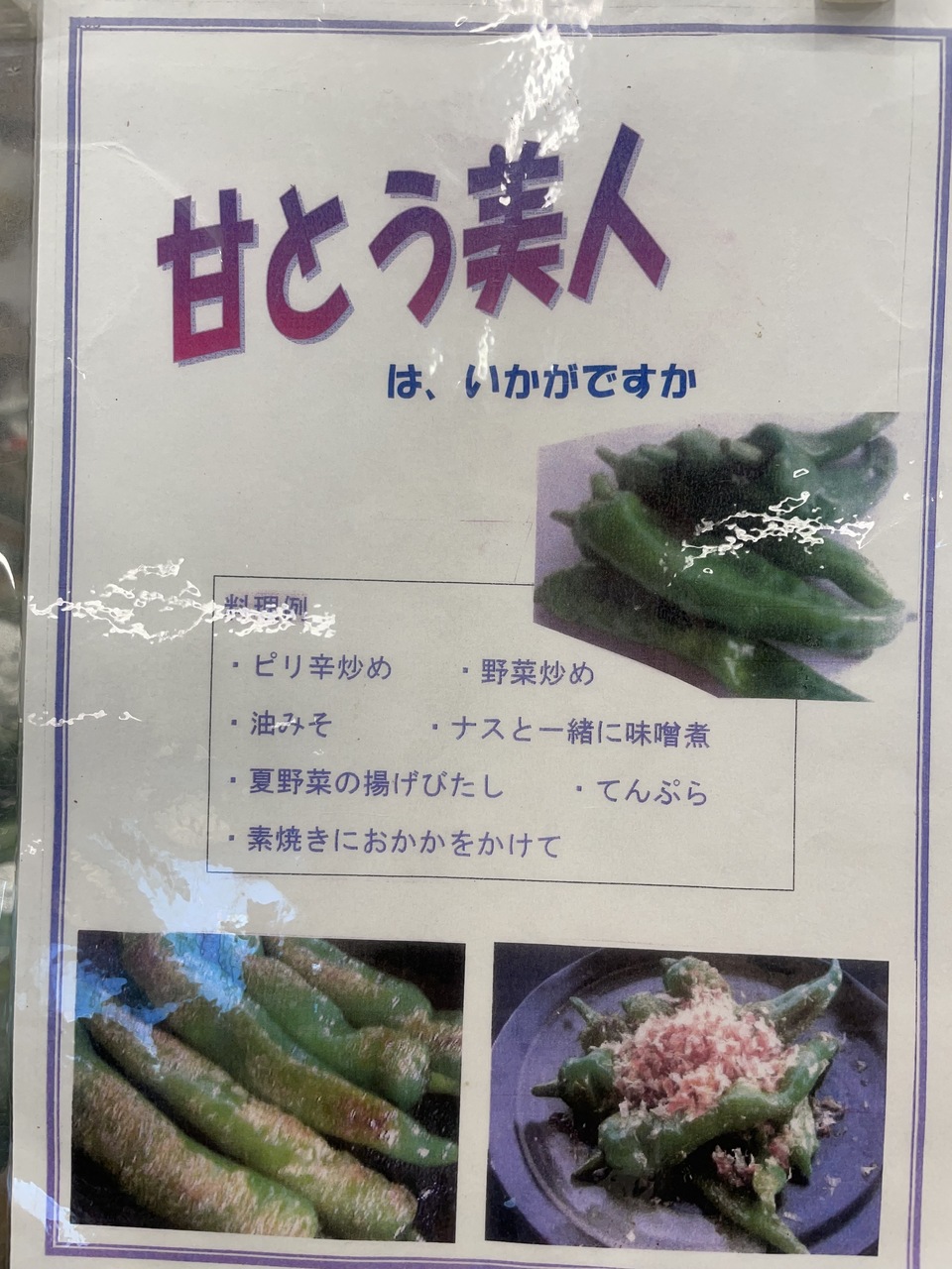 甘とう美人 甘唐とナスの焼き浸し