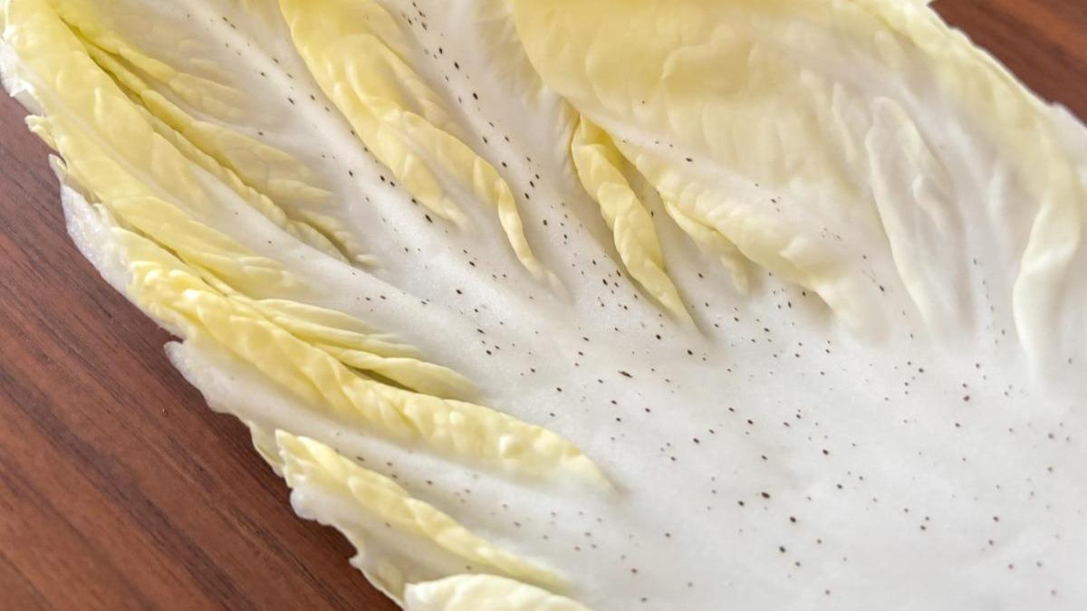 クックパッドニュース： 知らなかった！ 白菜は「内側から」食べると最後までおいしく味わえる☆毎日新聞