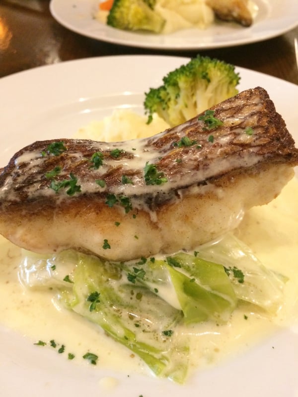 フランス食堂「モンテ」 コスパも接客も最高のお店！猫井 登