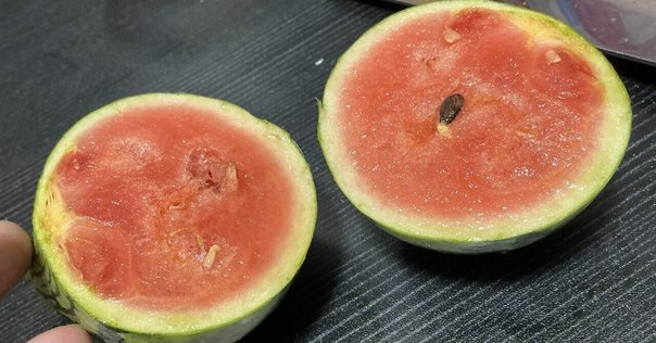 塩はかけない！」甘くないスイカの救済方法！意外と知らない”スイカがおいしくなる食べ方2つ” ぱるとよ- エキスパート - Yahoo!ニュース