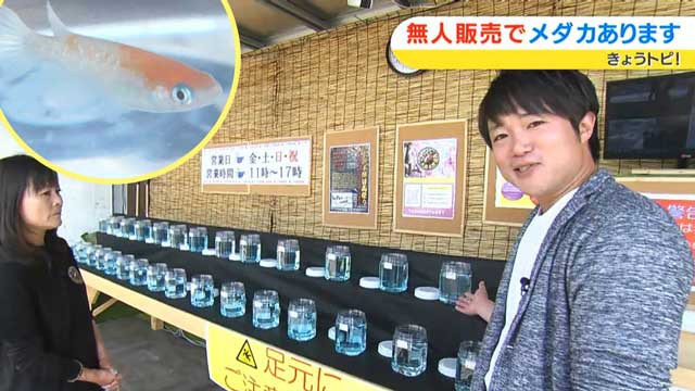 姫路 無人販売店「24sweetsshop」オープン！行列スイーツを24時間いつでも♪兵庫県はりまエリア 姫路・加古川など の地域情報サイトTANOSUタノス