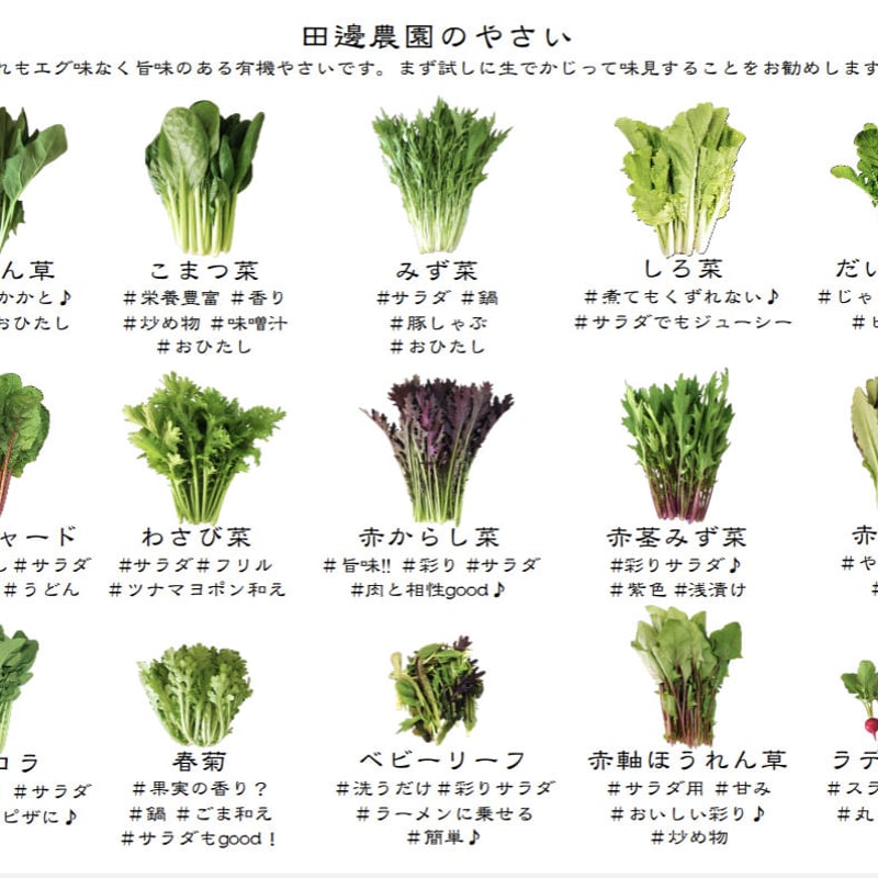 葉物野菜をいっきにタネまきしました。 - 大好き！野菜の時間
