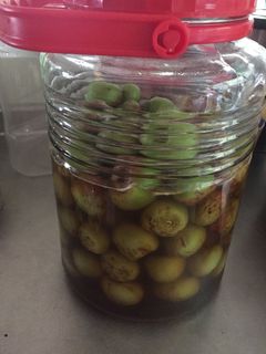 梅仕事2025 炊飯器で作るほったらかし梅シロップLEE