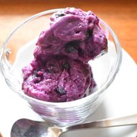 有機食材でブルーベリーアイスを手作りしてみました🍨🫐材料 2〜3人分 ・ギリシャヨーグルト：200g ・冷凍ブルーベリー：お好みの量 ・はちみつ：お好みの量作り方・ボウルに全ての材料を入れる ・スプーンなどでブルーベリーを潰すように材料を混ぜる ・冷凍庫