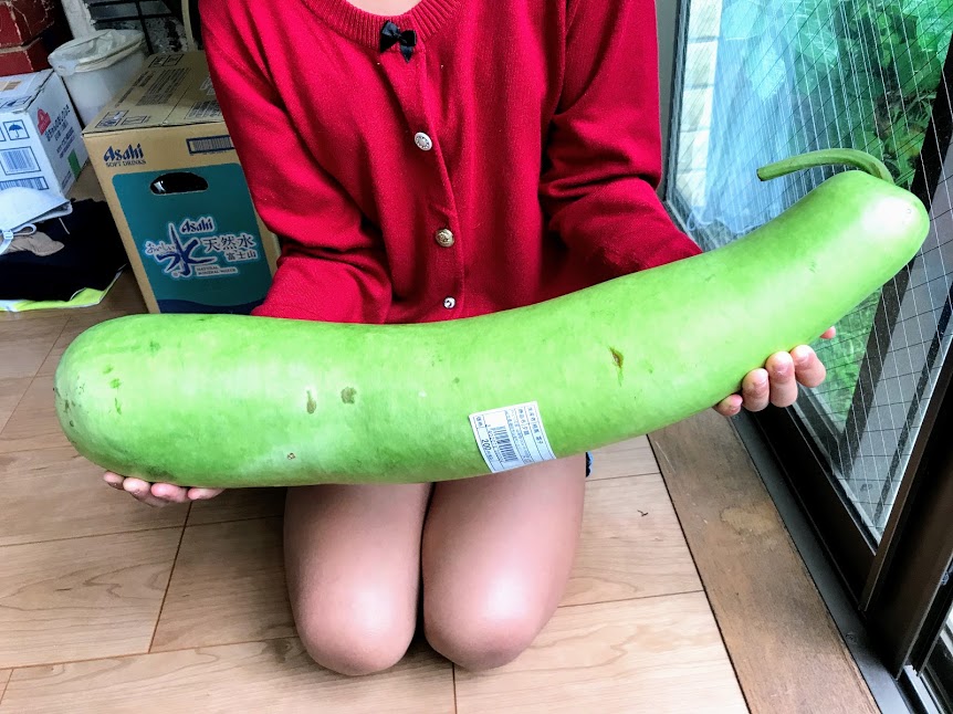 夕顔 Opo squash の特徴と食べ方アメリカで野菜を美味しく 写真あり- Mamemiso diary