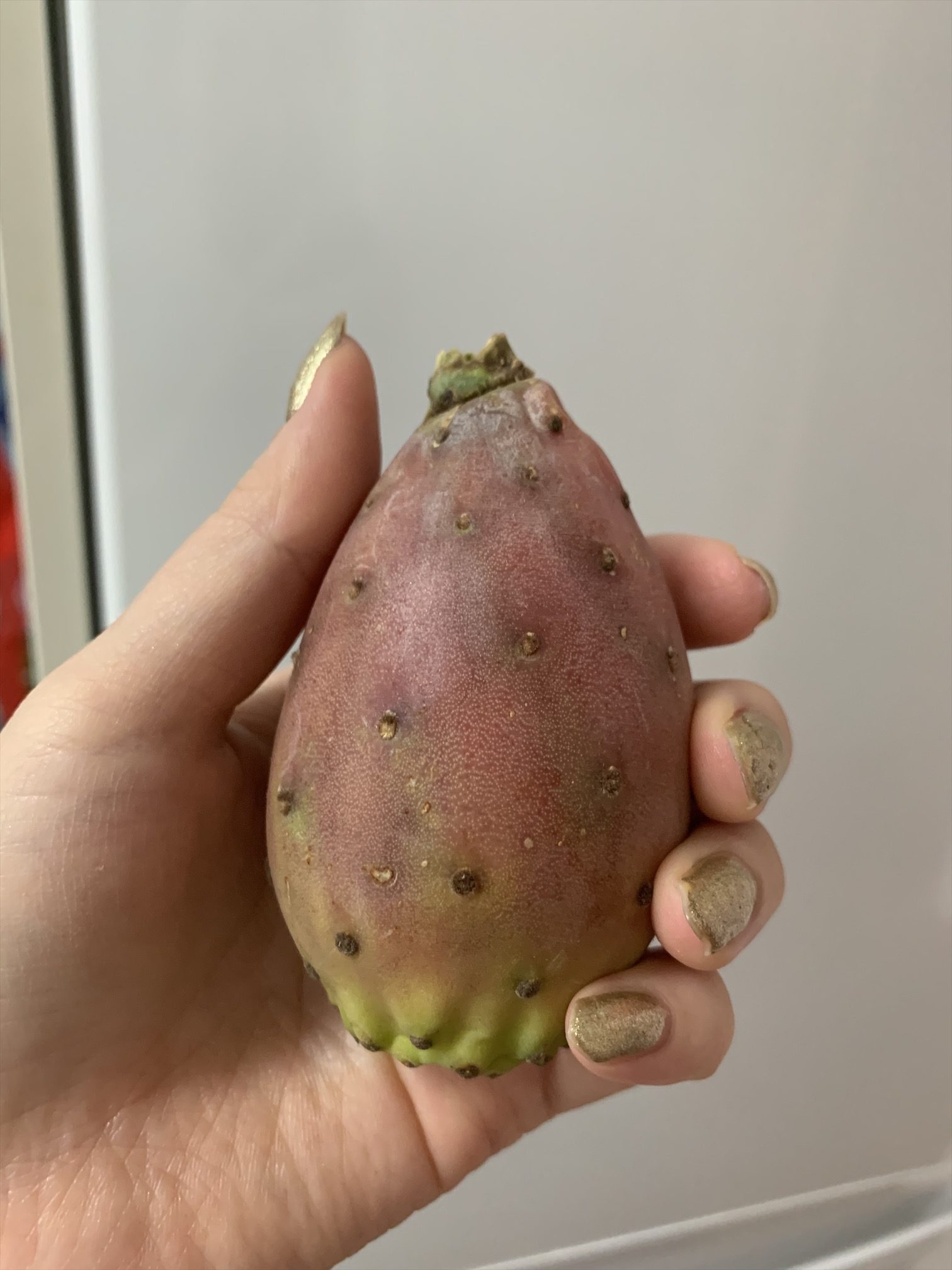 サボテンの実や変わった桃？スペインのフルーツを食した台湾人夫×日本人妻の地球探究記