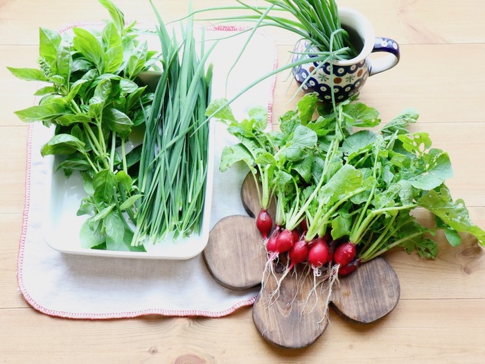 ハーブと野菜を使ったセンスのいい寄せ植え11選組み合わせと作り方のポイントLOVEGREEN ラブグリーン
