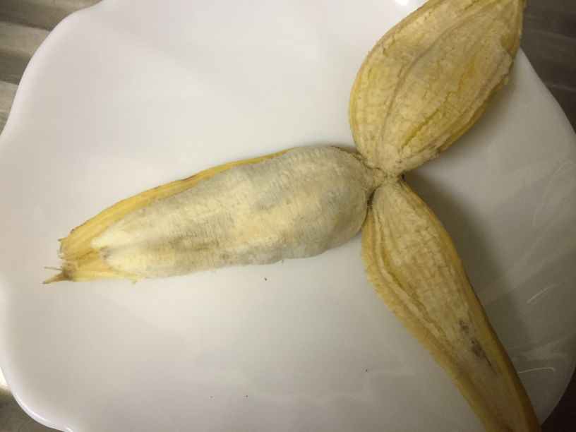 バショウ 芭蕉 の花や実は、バナナとそっくり～違いは何？優しい雨