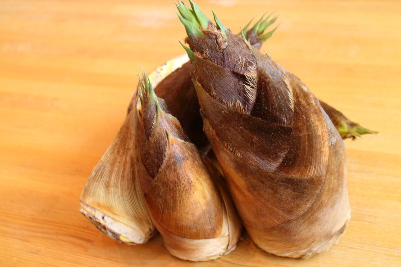 これからが旬！たけのこで「春」を感じよう：農林水産省