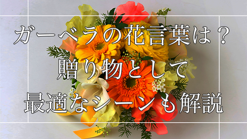 ガーベラ1本の値段は？花言葉やおしゃれなラッピング・飾り方もご紹介Flower Smith Market フラワースミスマーケット