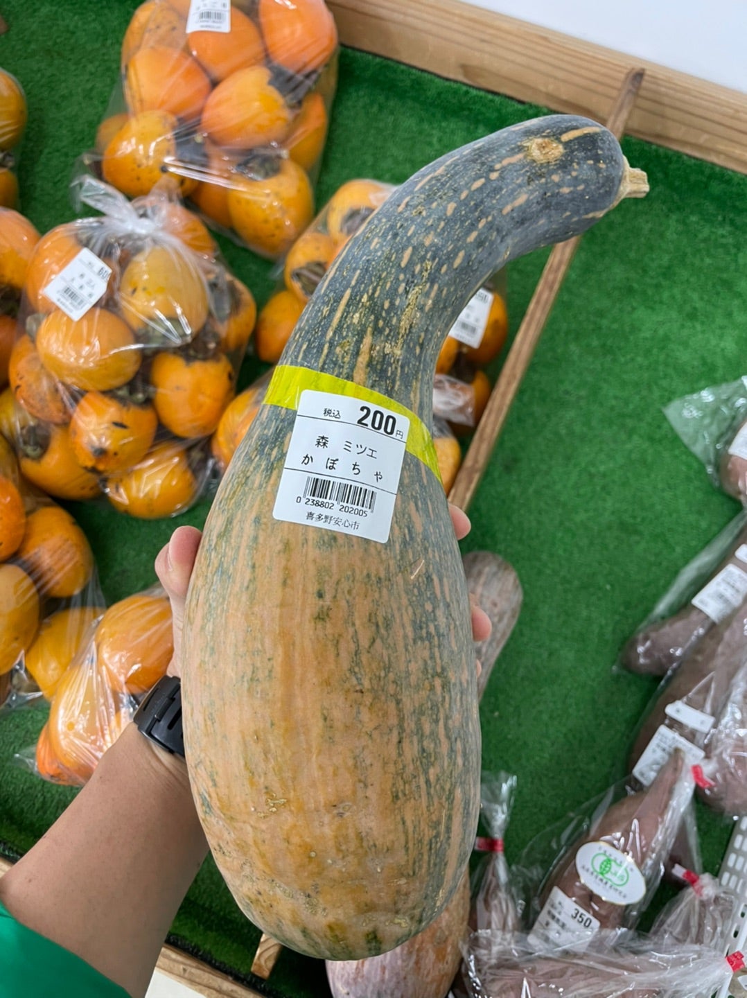 日本古来の品種である鶴首かぼちゃとバターナッツかぼちゃ。会社の畑で採れたもの、たまたまオフィスに来ていた安藤シェフに、おすすめの美味しい食べ方を聞いたらパスタがいいとアドバイスをもらい作ってみました。かぼちゃを食べやすい大きさに切って下味をつけて