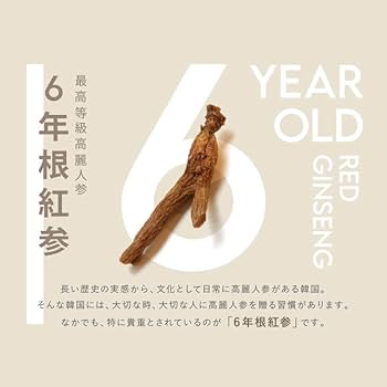 楽天市場 食べる高麗人参 6年根紅参 DARUN ロッソメロ きな粉 48g 1袋 大容量 高麗人参3本分 ダルン : スプランドゥール楽天市場店